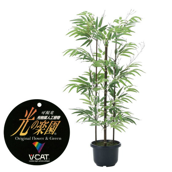 楽天市場】【クーポンで10%OFF】 人工観葉植物 黒竹1.8 フェイク