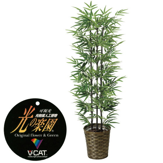 楽天市場】【クーポンで10%OFF】 人工観葉植物 黒竹1.0 フェイク