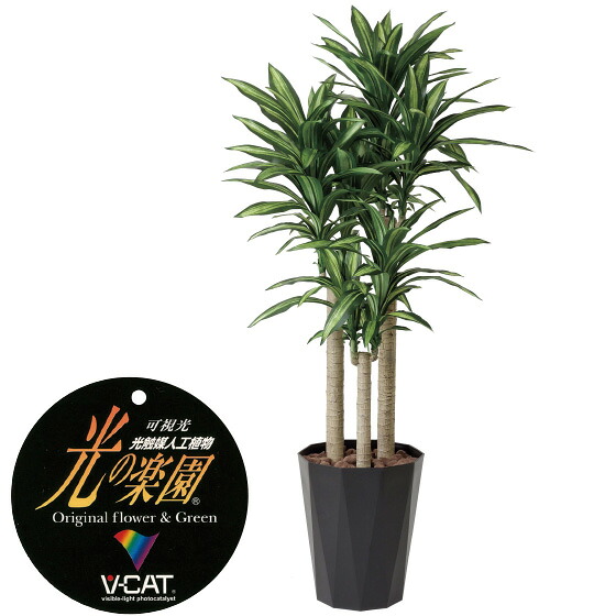 【クーポンで10%OFF】 人工観葉植物 幸福の木1.8 フェイクグリーン 観葉植物 フェイク 人工観葉植物 大型 光触媒 造花 インテリア リアル おしゃれ お祝い 樹 木 室内 フィカス ウンベラータ 人気 空気清浄 玄関 リビング オフィス 部屋 シンプル 抗菌 消臭｜やさしさＯＮ-ＬＩＮＥ