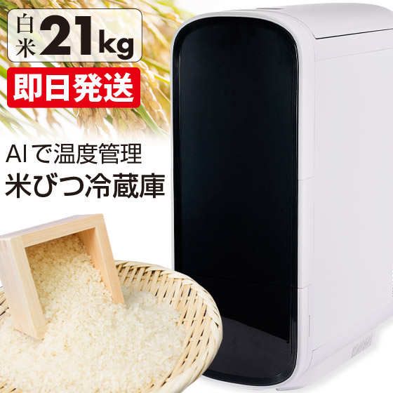 ライスフリッジモダン 米びつ 米専用 冷蔵庫 米びつ 冷蔵庫 ライスフリッジ モダン