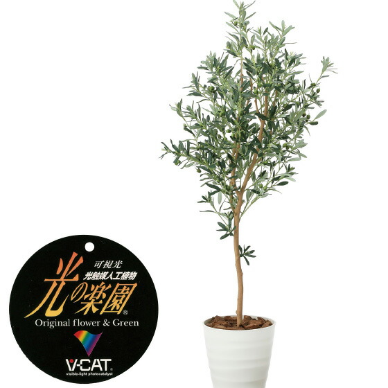 楽天市場】【クーポンで10%OFF】 人工観葉植物 パキラ1.0 楽天市場】【クーポンで10%OFF】 人工観葉植物 パキラ1.0