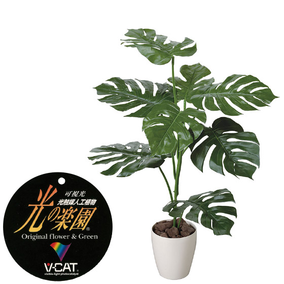 楽天市場】【クーポンで10%OFF】 人工観葉植物 黒竹1.0 フェイク 楽天市場】【クーポンで10%OFF】 人工観葉植物 黒竹1.0 フェイク