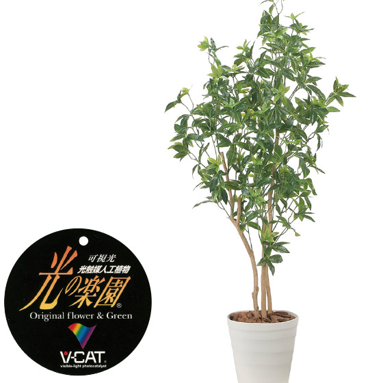 【クーポンで10%OFF】 光触媒人工植物 デラックスフレッシュパキラ1.6 フェイクグリーン 観葉植物 フェイク 人工観葉植物 大型 光触媒 造花 インテリア リアル おしゃれ お祝い 樹 木 室内 人気 空気清浄 玄関 リビング オフィス 部屋 シンプル 抗菌 消臭 観葉樹