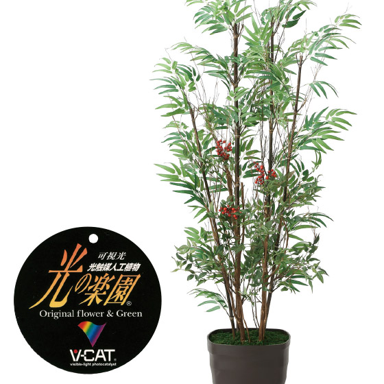 楽天市場】【クーポンで10%OFF】 人工観葉植物 黒竹1.0 フェイク