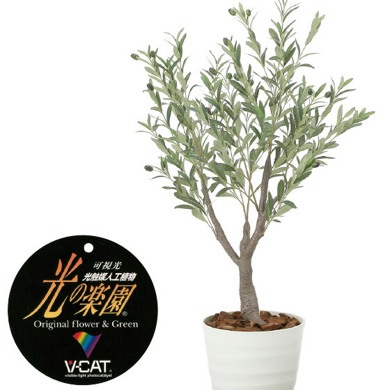 楽天市場】【クーポンで10%OFF】 ウッドボックストネリコミックス1.8