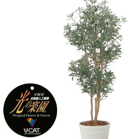 楽天市場】【クーポンで10%OFF】 光触媒人工植物 ベンジャミンスリム