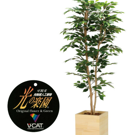 【クーポンで10%OFF】 ウッドボックスペンジャミン1.8 フェイクグリーン 観葉植物 フェイク 人工観葉植物 大型 光触媒 造花 インテリア リアル おしゃれ お祝い 樹 木 室内 人気 空気清浄 玄関 リビング オフィス 部屋 シンプル 抗菌 消臭 観葉樹