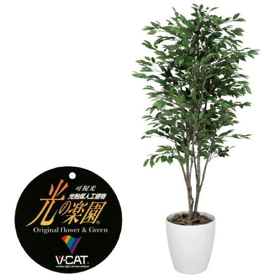 楽天市場】【クーポンで10%OFF】 ウッドボックストネリコミックス1.8