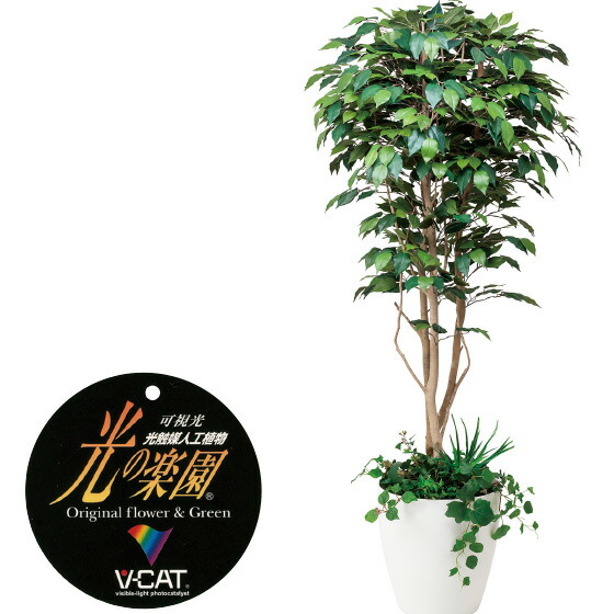 光触媒　人工観葉植物　フェイクグリーン　ベンジャミンスリム1.6m 光触媒 光の楽園 ベンジャミンスリム1.6m【インテリア フェイク