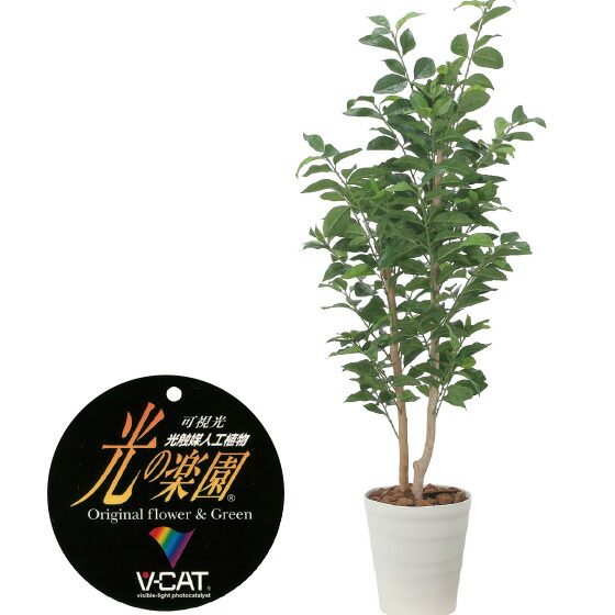 【クーポンで10%OFF】 光触媒人工植物 レモンの木1.35 フェイクグリーン 観葉植物 フェイク 人工観葉植物 大型 光触媒 造花 インテリア リアル おしゃれ お祝い 樹 木 室内 人気 空気清浄 玄関 リビング オフィス 部屋 シンプル 抗菌 消臭 観葉樹|やさしさON-LINE