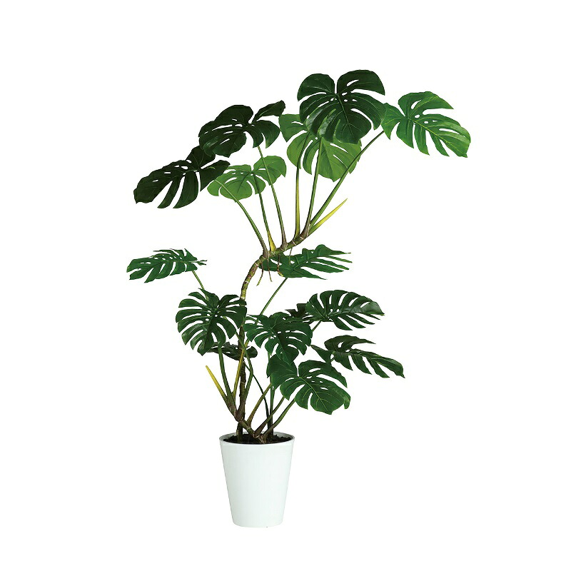 人工観葉植物 ワイルドモンステラ 160cm 高さ160cm （P209-dt91867) （代引き不可） インテリアグリーン フェイクグリーン