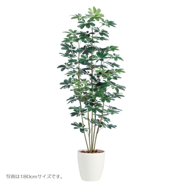 人工観葉植物 シェフレラ 150cm 高さ150cm (P209-dt98892) (代引き不可) インテリアグリーン フェイクグリーン|社人形会館店
