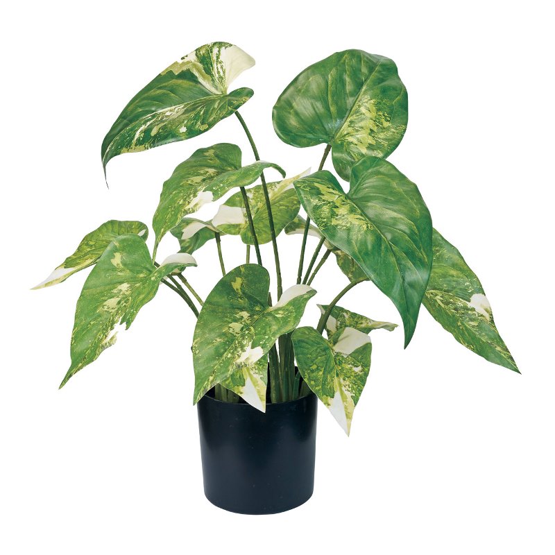 人工観葉植物 シンゴニューム斑入り ポット 高さ37cm （P191-fg175) （代引き不可） 鉢カバー ディスプレイ