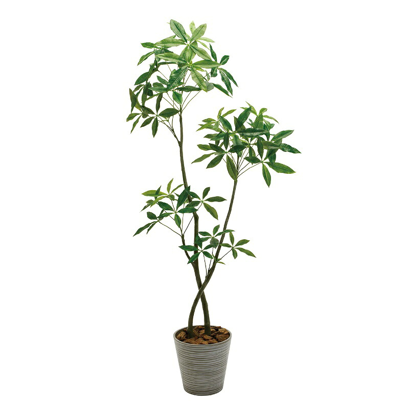 人工観葉植物 パキラ 6F プランター入り 高さ190cm （P206-mgf22100) （代引き不可） インテリアグリーン フェイクグリーン｜社人形会館店 38,675円