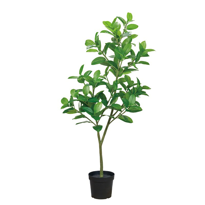 人工観葉植物 ゴムノキ ポット ３WAY 光触媒加工 高さ70/100/150cm （P196-zv778) （代引き不可） インテリアグリーン フェイクグリーン｜社人形会館店