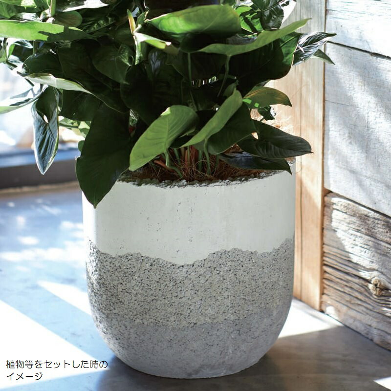 コーテスストラータL（ct-s01w40e）