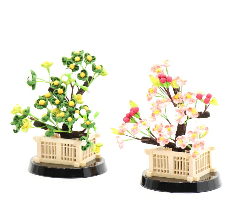 アウトレット品 雛人形 桜橘単品 花衣 30号 黒塗楕円台 高さ19cm (26a-ya-0501) インテリア ディスプレイ 見切処分品