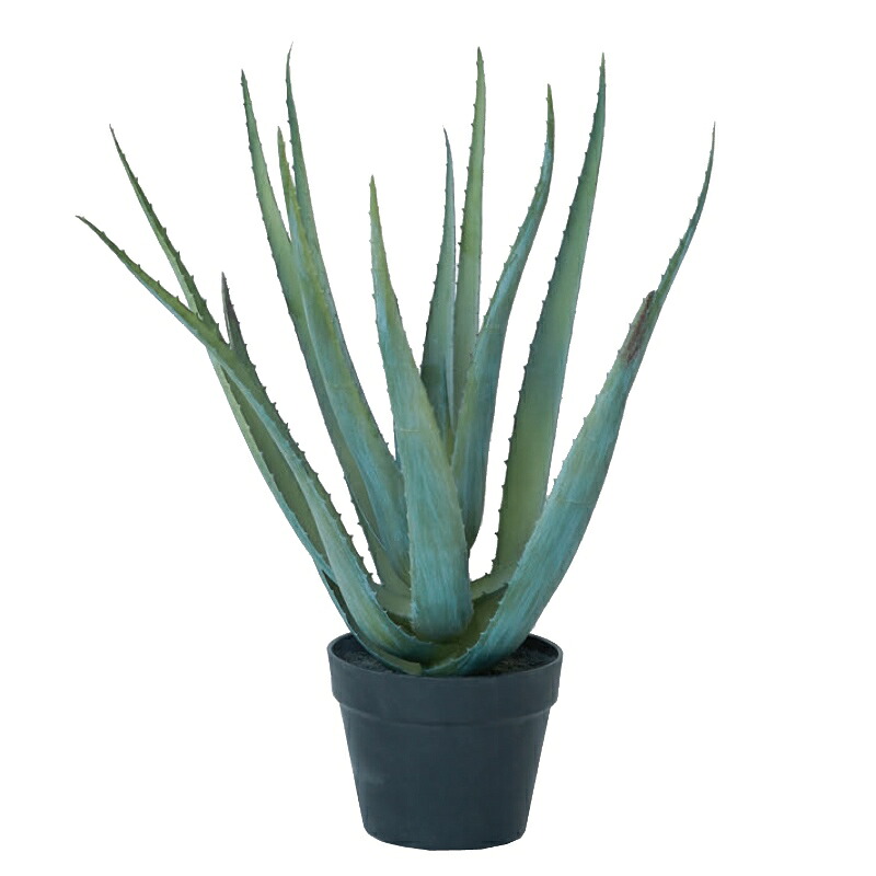 人工観葉植物 アロエベラ ポット 57（1個入り）MIRAKANA 多肉植物 卓上、小型の床置きサイズ インテリア フェイクグリーン 造花 POT SUCCULENTグリーン｜社人形会館店