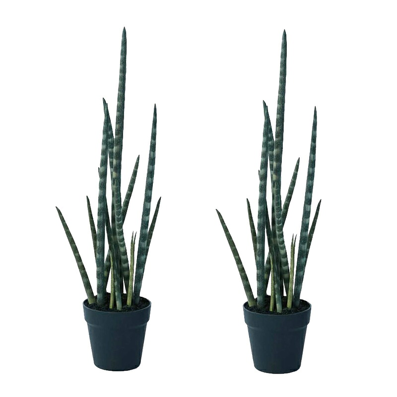 人工観葉植物 サンセベリア ポット 68（2個入り）MIRAKANA 多肉植物 床置きの小さいサイズ インテリア フェイクグリーン 造花 POT SUCCULENTグリーン｜社人形会館店