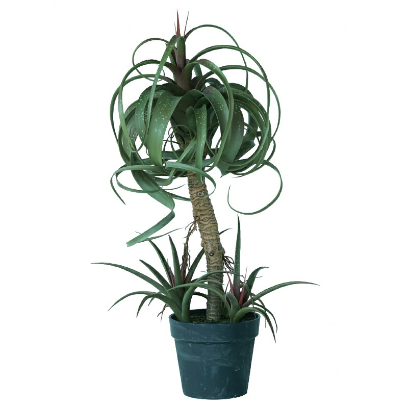 人工観葉植物 チランジア ミックス ポット 81（1個入り）MIRAKANA 多肉植物 床置きの小さいサイズ インテリア フェイクグリーン 造花 POT SUCCULENTグリーン｜社人形会館店 15,444円