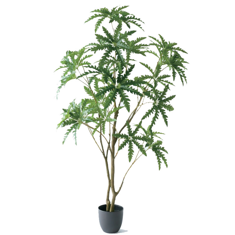人工観葉植物 アラレア ポット 140（1個入り）MIRAKANA 庭木ポット 玄関、広い空間サイズ インテリア フェイクグリーン 造花GARDEN PLANTグリーン｜社人形会館店