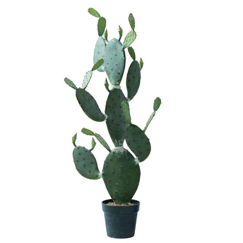 22新作 サボテン 人工観葉植物 1個 P ウチワサボテンポット117 Ba180 0 造花 Cactus 代引き不可 インテリア フェイクグリーン 花 観葉植物