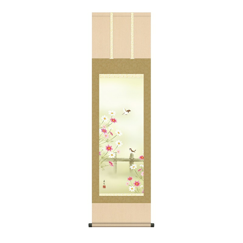 掛軸 花鳥画 秋掛け 秋桜 尺三 西尾香悦 [KZ1MA6-35C](代引き不可)