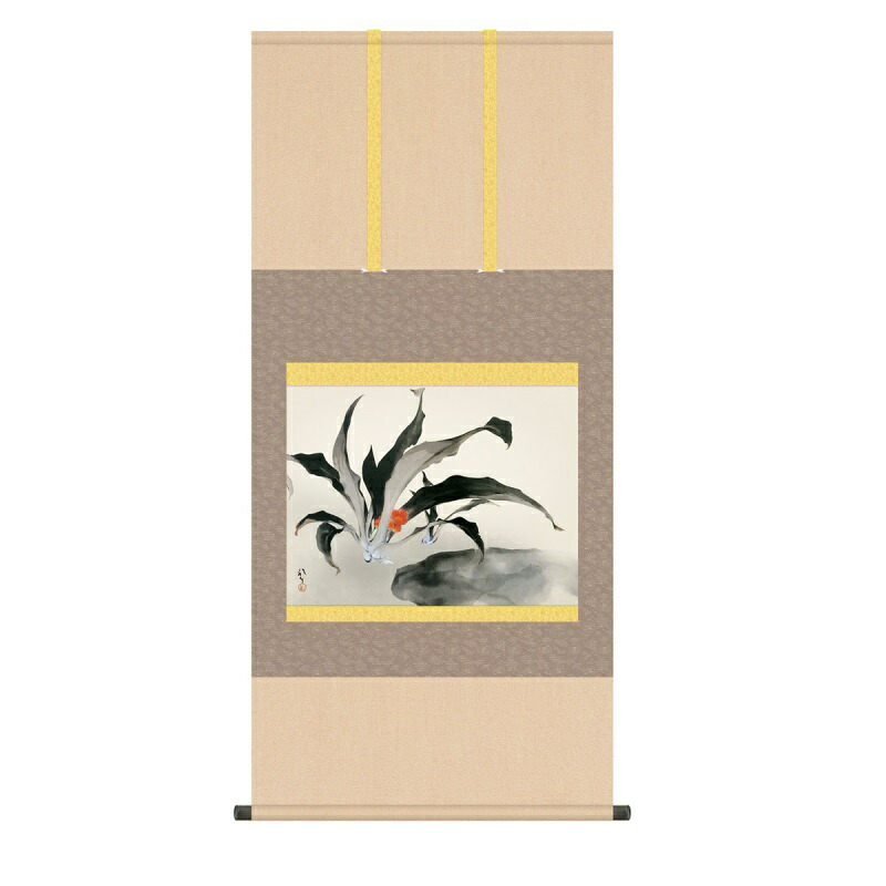 掛軸 川端龍子 万年青 (おもと) 尺五 (KZ3G9-074) (代引き不可)|社人形会館店