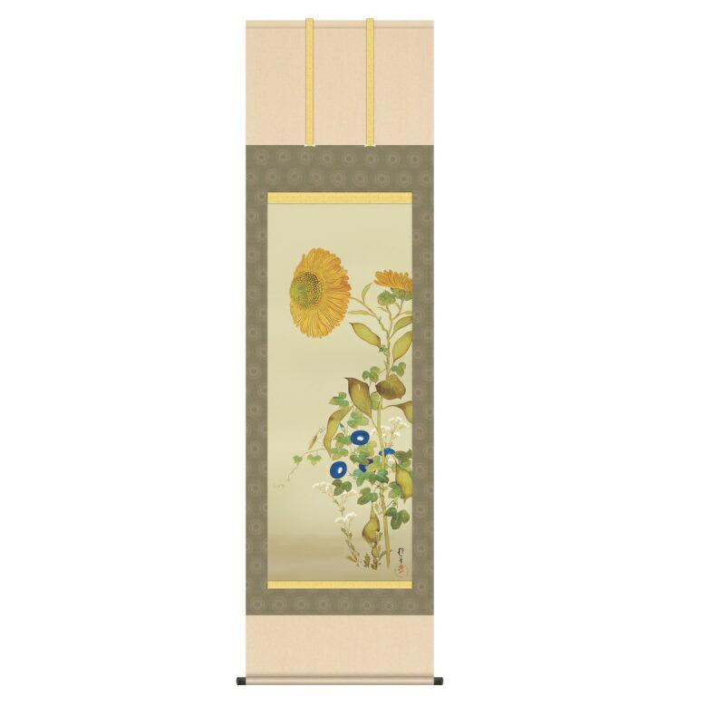 楽天市場】掛け軸 掛軸 酒井 抱一 （さかいほういつ）・ 向日葵、朝顔