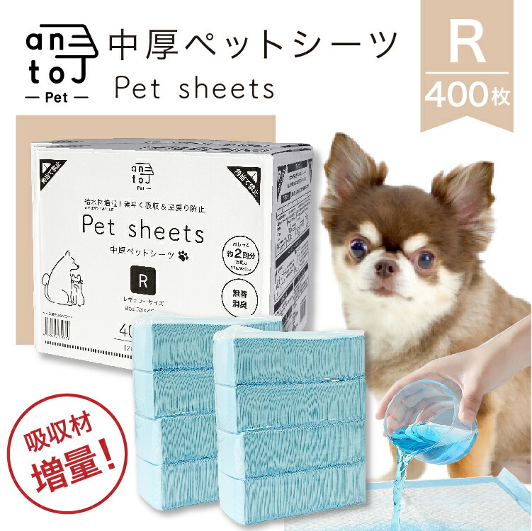 SNS特設会場
