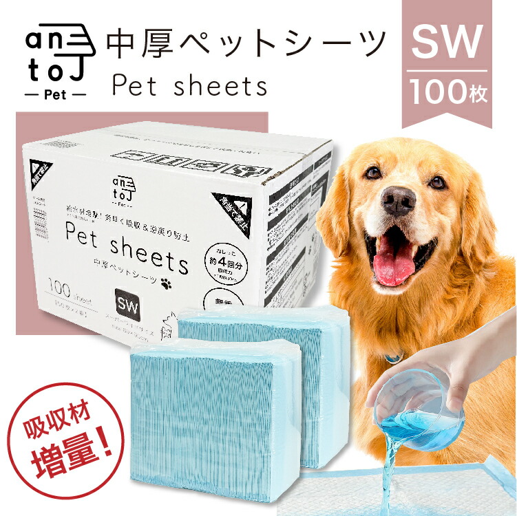 SNS特設会場