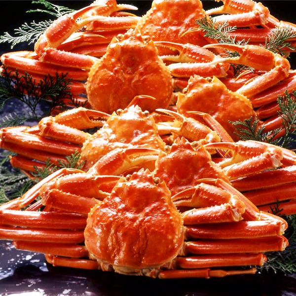 【身入り抜群のA級品！】カナダ産ボイルズワイガニ姿・約500g&times;6尾 冷凍ズワイ蟹【代引不可】｜Y.D.popo