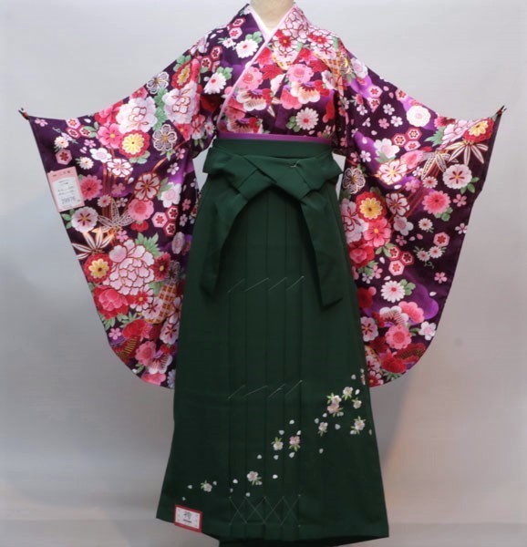 二尺袖 着物袴 フルセット 百花繚乱 卒業式に お直し込 NO16018 | www