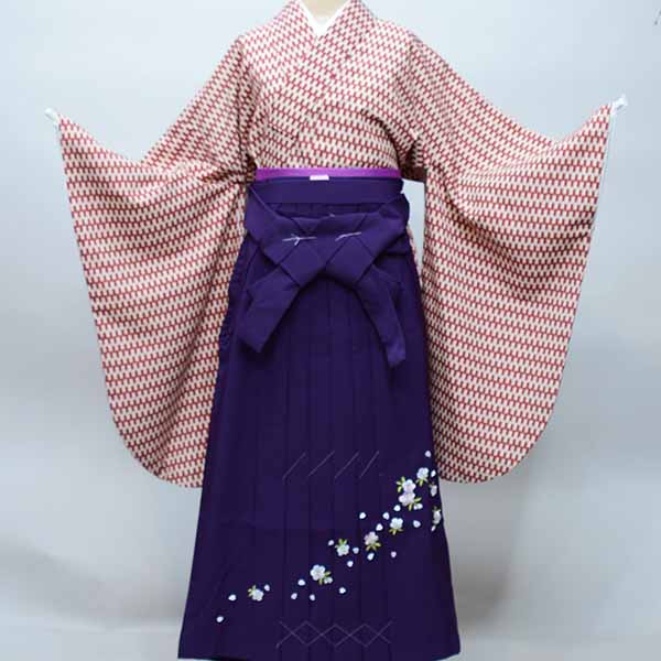 楽天市場】二尺袖 着物袴 フルセット 矢羽 矢絣柄 大柄 袴変更可能