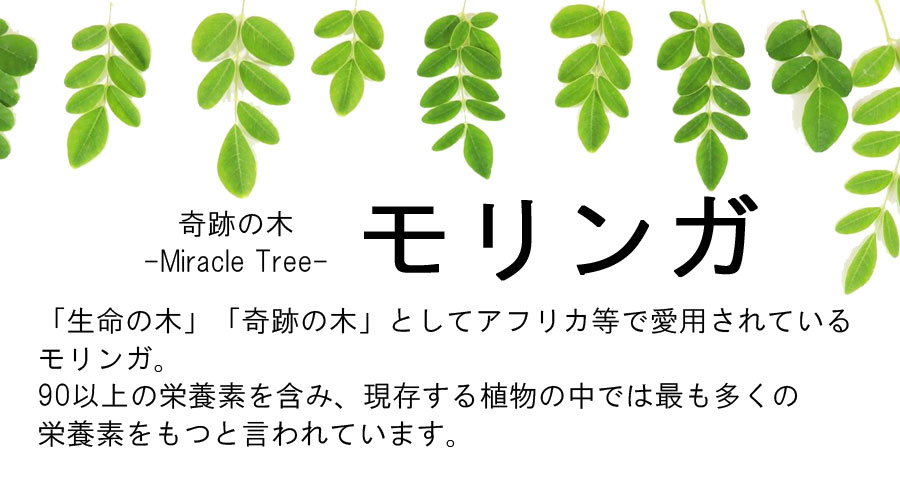 モリンガパウダー