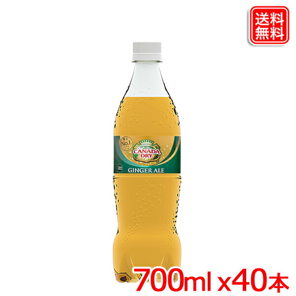 カナダドライ ジンジャーエール 700ml PET ｘ40本 【メーカー直送】送料無料 6,028円
