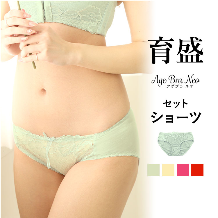 楽天市場】ショーツ セクシー ランジェリー パンツ パンティ