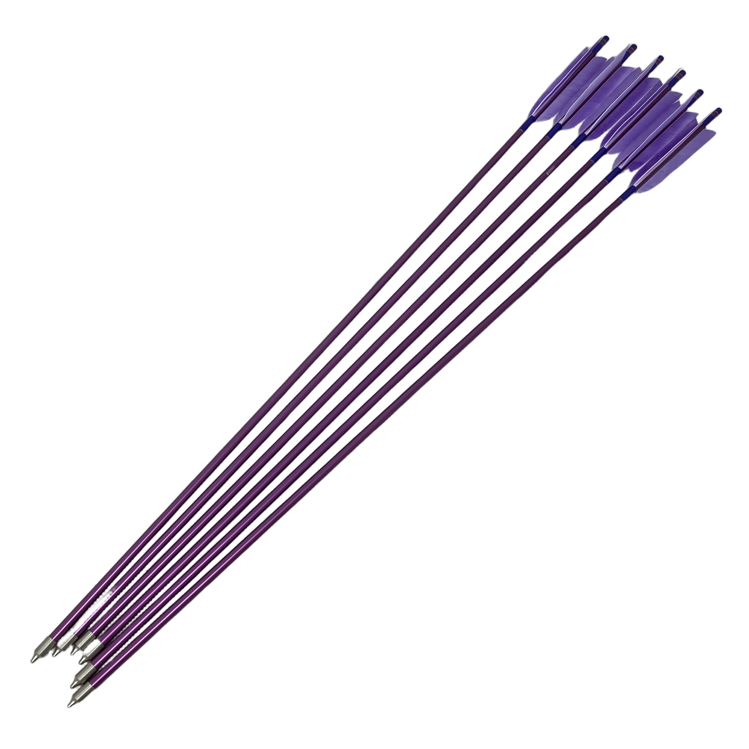 美品 【中古】 EASTON XX75 1913 6本セット パープル イーストン 弓道 矢 6本セット 88cm 中古 美品 M11473633｜ReRe（安く買えるドットコム）