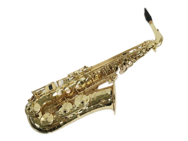 中古 Selmer セルマー Sa 80 Ii Jubilee Gl W E アルトサックス ハードケース付き 良好 W Bouncesociety Com