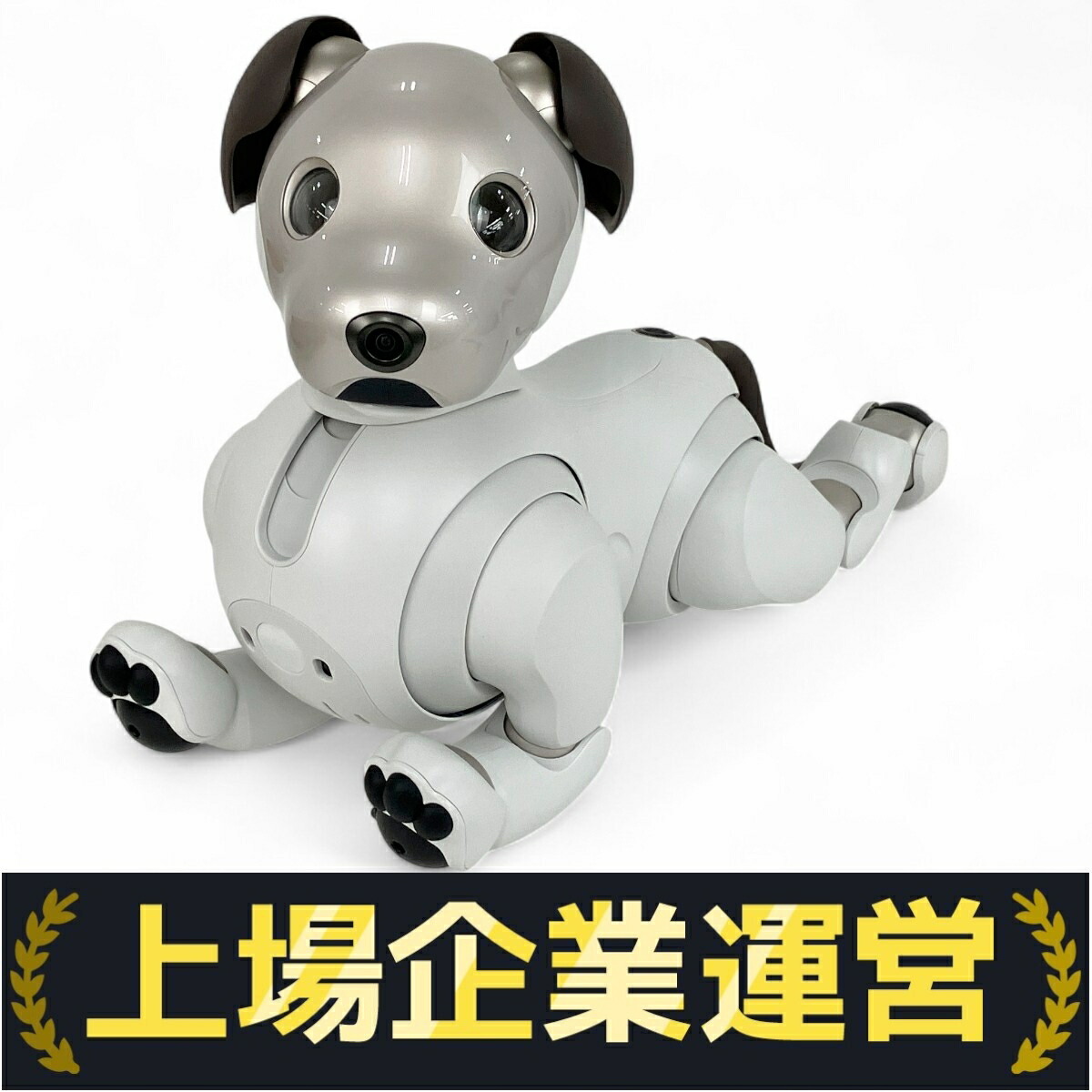 aibo アイボ ソニー　ERS-1000 電動ロボット Sony aibo Companion Robot | ERS1000