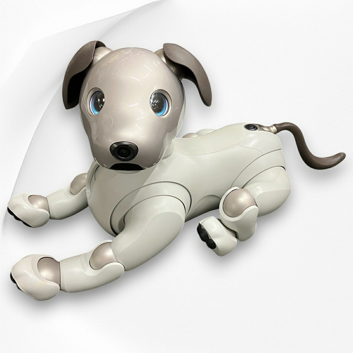 楽天市場】【ソニー】SONY アイボ aibo 犬 ペットロボット ERS-1000