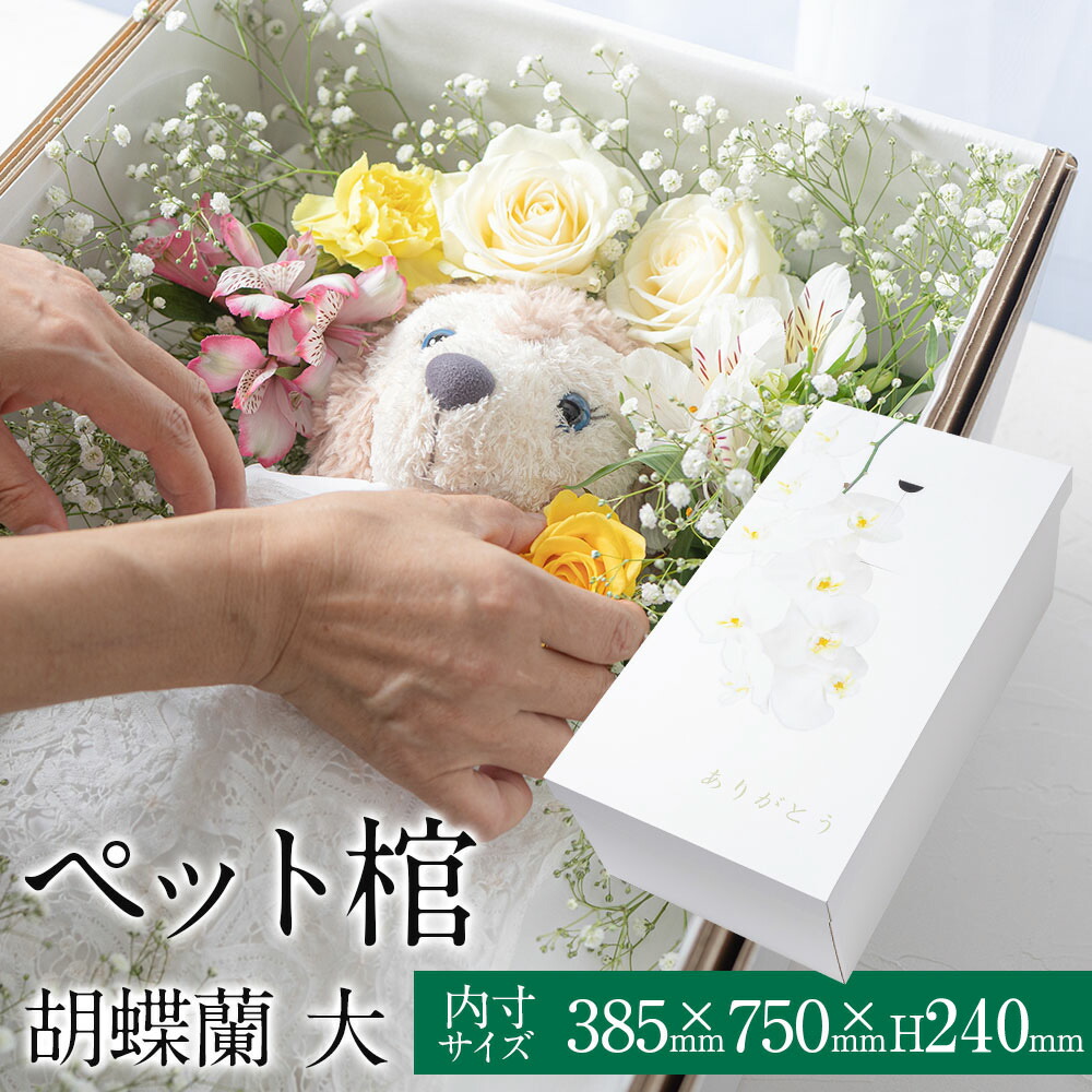 送料無料 大サイズ 中型動物 お別れ窓付 防水シート付 胡蝶蘭 安心の強化パッド構造 ペット棺 ダンボール棺 棺桶 メモリアル 胡蝶蘭(大)