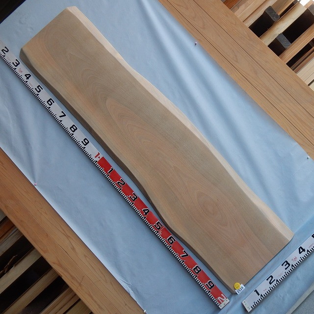 楽天市場】イヌマキ 一枚板 2547 長さ150cm 幅20cm～30cm 厚み4.5cm 天
