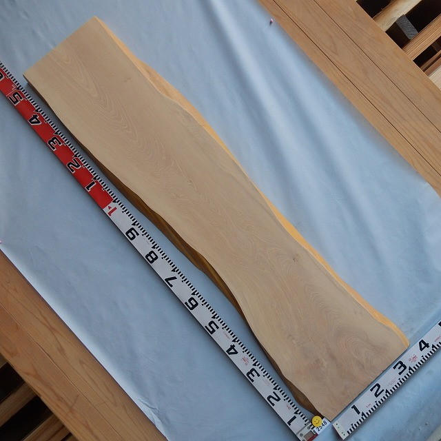 楽天市場】イヌマキ 一枚板 2547 長さ150cm 幅20cm～30cm 厚み