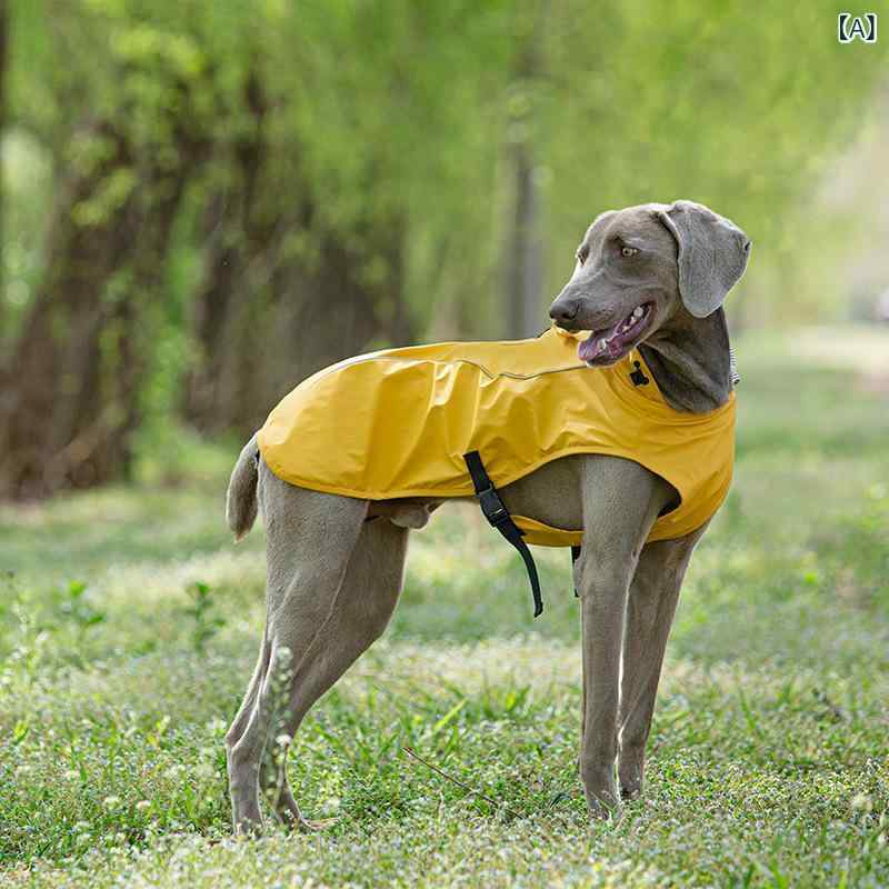 ペット用レインコート 中型犬大型犬用フード付きポンチョ反射材付き 夜間散歩視認性配慮 持ち運び便利ドッグウェア シンプル ベーシック 定番 スタンダードカジュアルナチュラル｜やすらぎマーケット