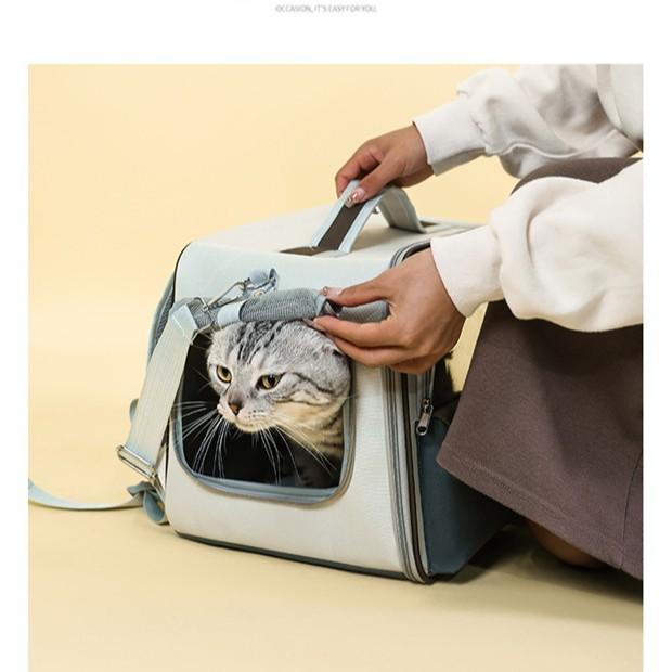 ペットキャリーバッグ 猫 リュック 大容量 通気性 ペットバッグ ペットリュック キャリーケース 固定 背負える 犬 散歩 通院 防災 避難 旅行 お出かけ 丈夫 メッシュ窓 安定 小型犬 子猫 軽量 帰省