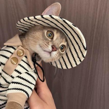 猫の服 スフィンクス デボンレックス ペットウェア 上下セット ポロシャツ バケットハット コットン 綿100% 秋冬用 防寒 暖かい 柔らかい 抜け毛防止 室内着 お出かけ 散歩 かわいい おしゃれ キャットウェア