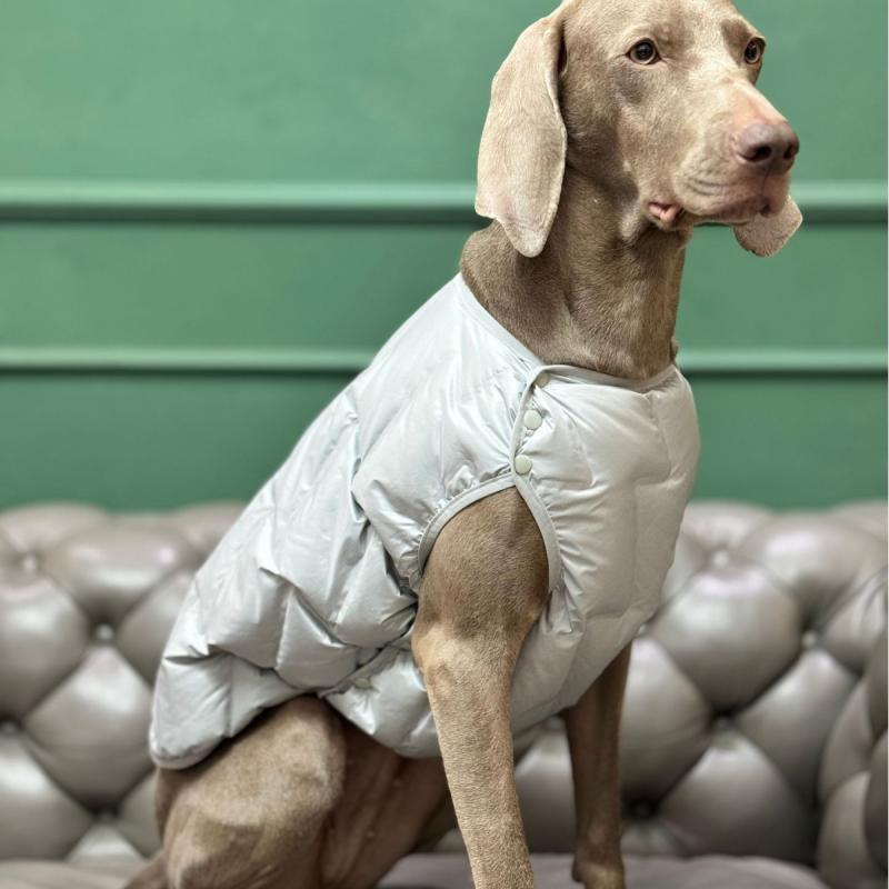 ドッグウェア 犬服 冬用防寒着 ダウン風ベスト リバーシブルアウター 中綿入りペット服 犬猫兼用 猫服 小型犬中型犬 散歩外出用 お出かけ用 前開き着せやすい 防風撥水通気性 ペット用品 秋冬用 寒さ対策 4,621円