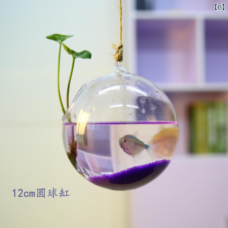 壁掛け花瓶 ガラス 一輪挿し 水耕栽培 丸型 吊り下げタイプ 透明 インテリア リビング 壁面装飾 観葉植物 テラリウム 壁飾り おしゃれ 容器 アクアリウム 金魚鉢 ウォールデコレーション 4,377円