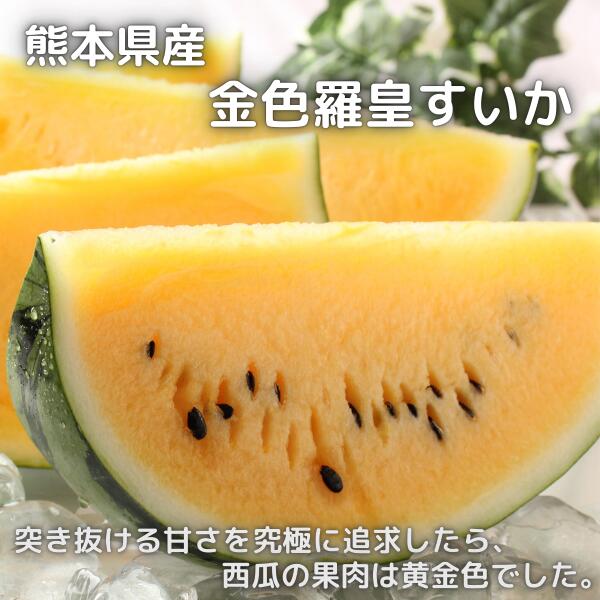 熊本県産 金色羅皇すいか 2L 約7kg ギフト プレゼント 超高糖度 お取り寄せ 送料無料 フルーツ 国産 スイカ 西瓜